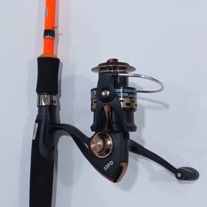 DS Marine