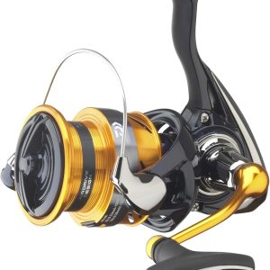 DS Marine