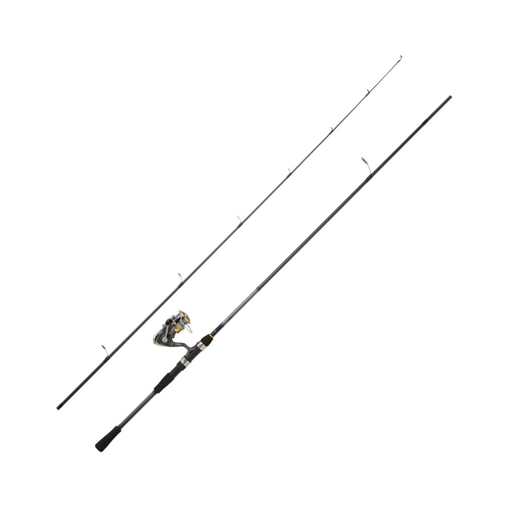 Ensemble Spinning Daiwa Canne+Moulinet Laguna